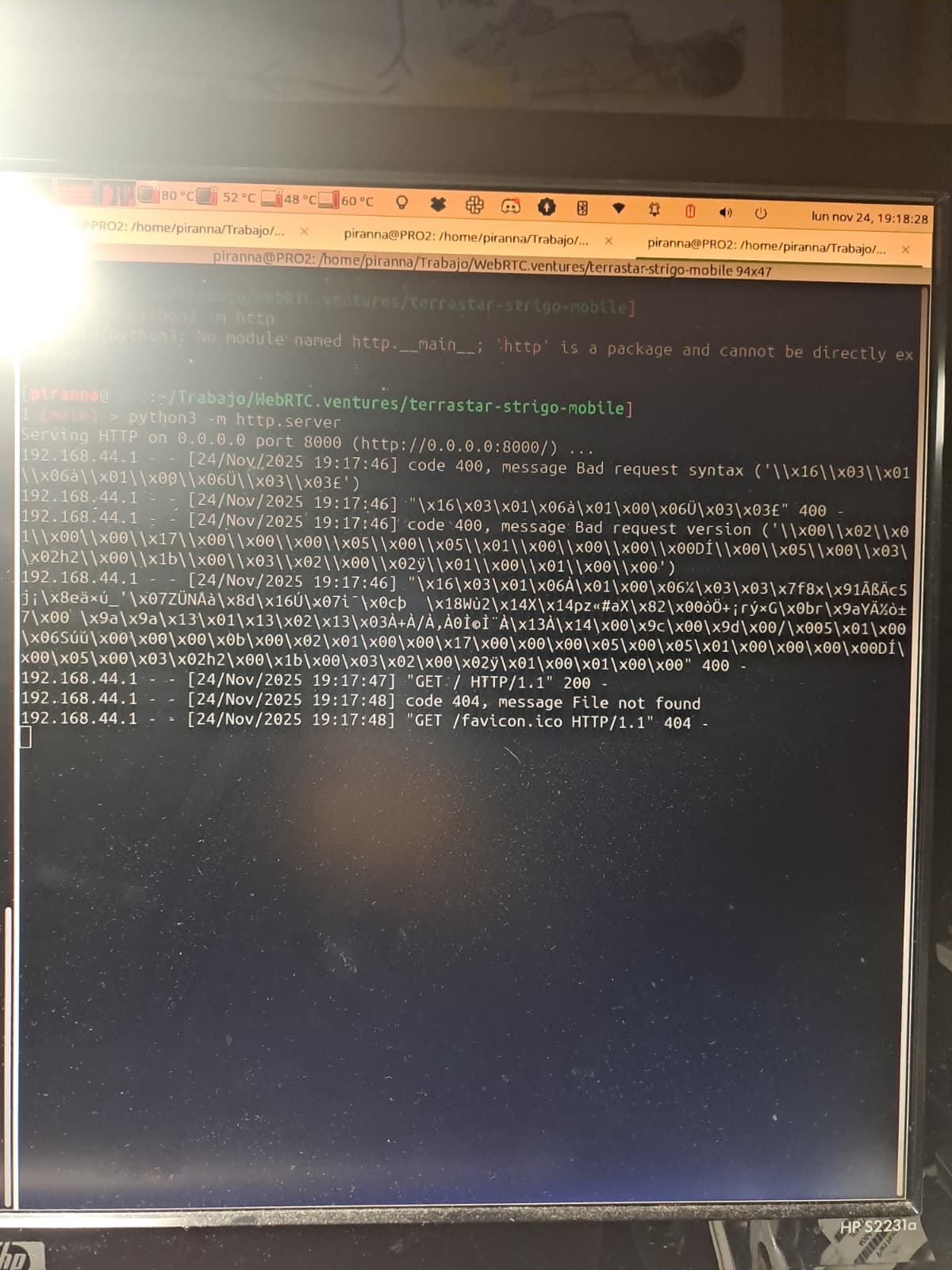 Sending requests using binary data?